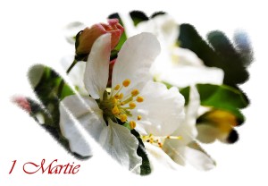 1 martie