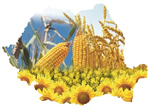 Romania Agricola 