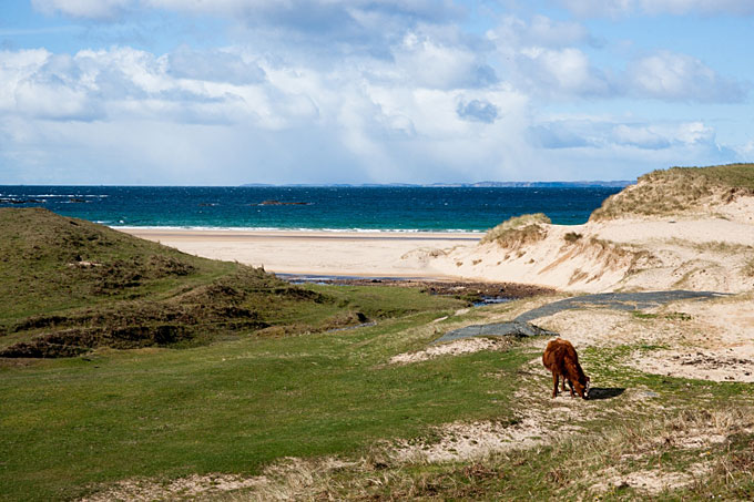 colonsay