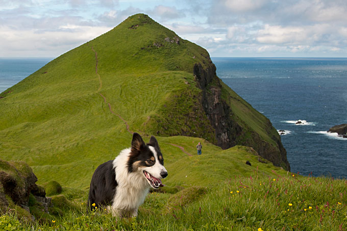 mykines