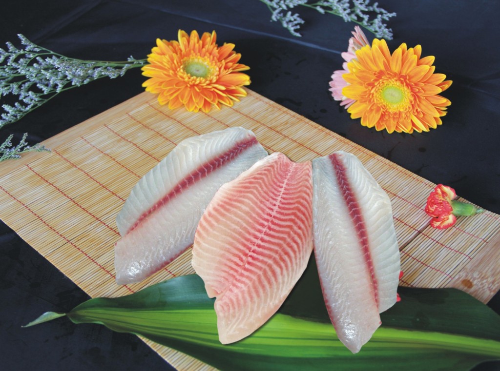 tilapia3_1
