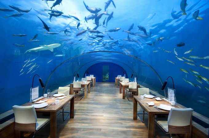ithaaundersearestaurant_conrad_maldives_rangali_island