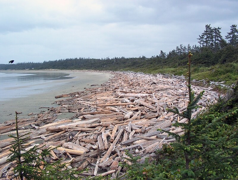 pacific