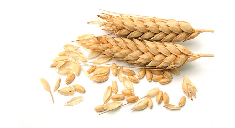 cereale