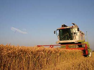 Fa bani din agricultura!