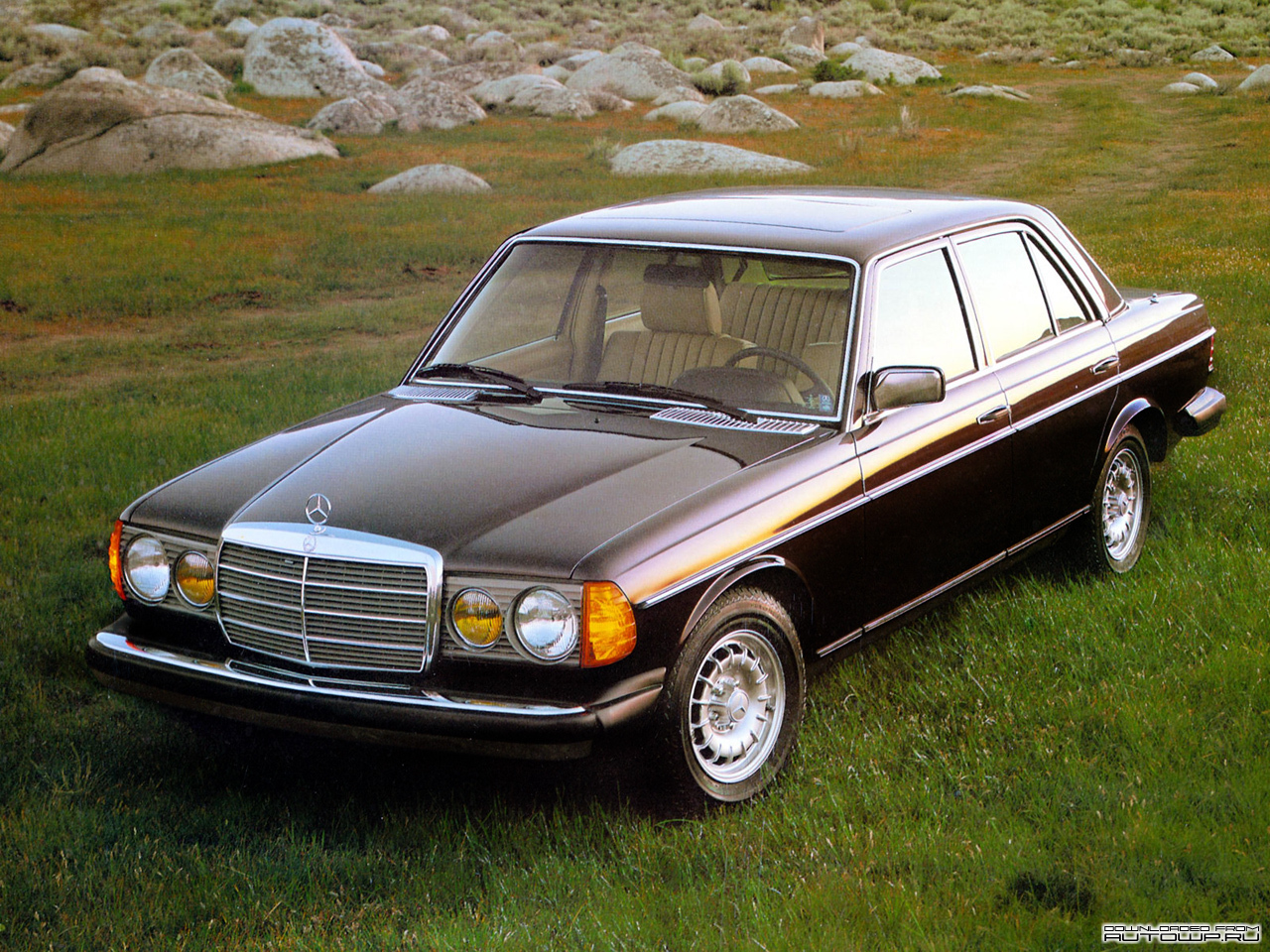 Mic istoric al masinii Mercedes Cobra