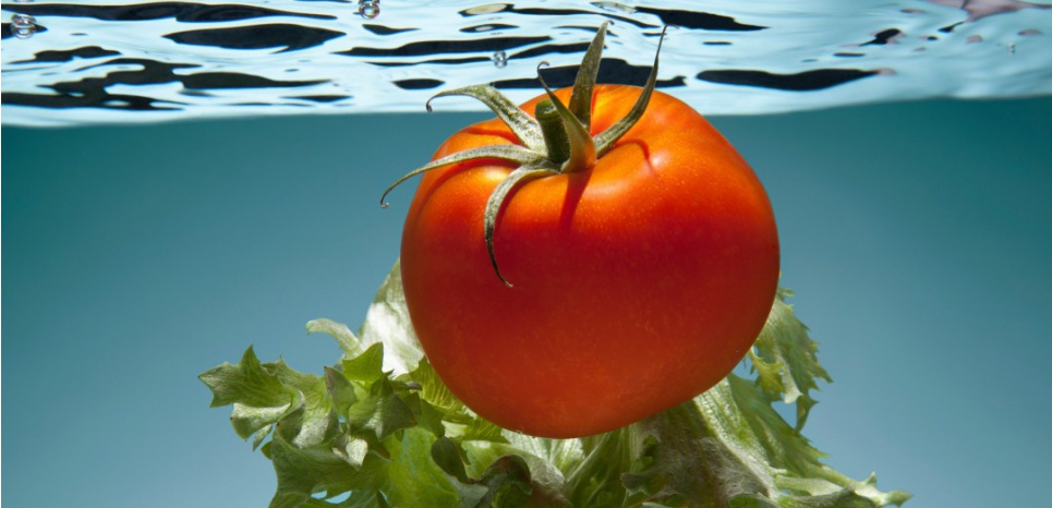 5 alimente de privilegiat cand este cald