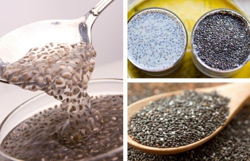 Chia, in, susan… top 6 seminte must have