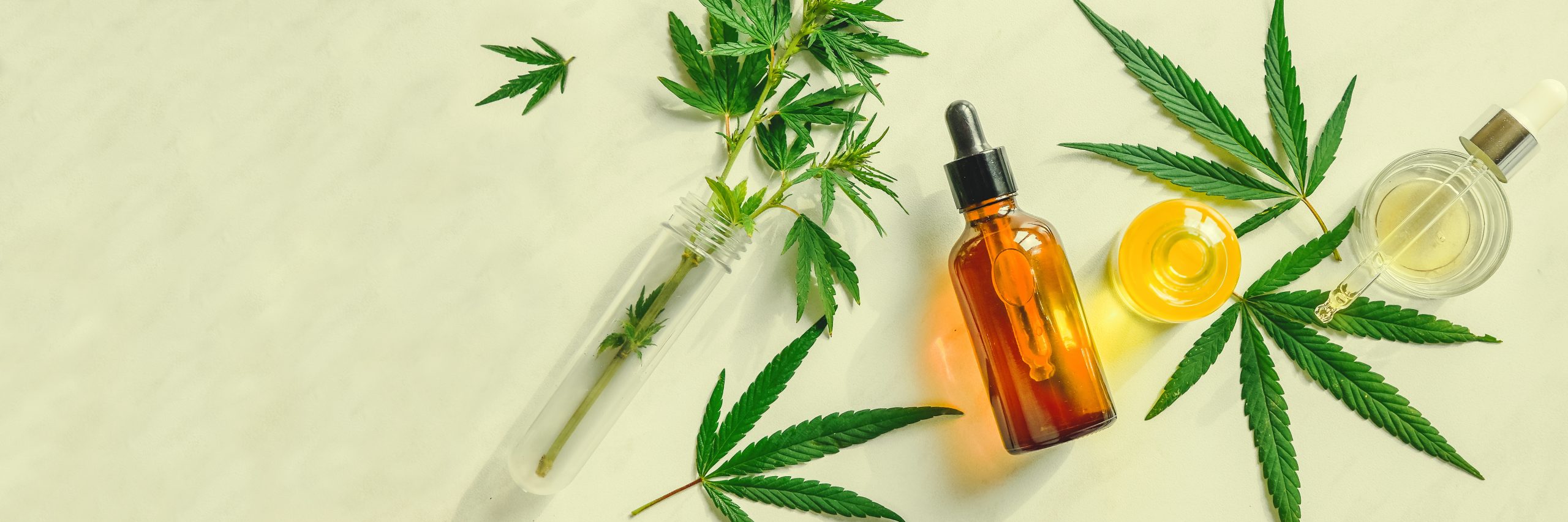 Introduce uleiul CBD in rutina ta de ingrijire a pielii pentru a scapa de acnee!