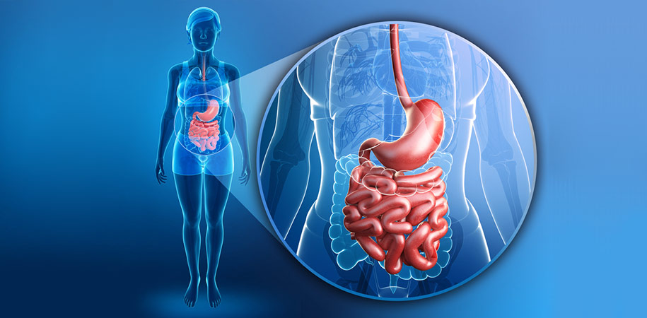 Endocrinologia și Gastroenterologia