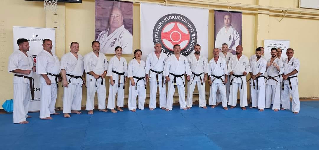 Descoperă Arta Karate-ului la Harmony Dojo: Cursuri pentru Toată Familia