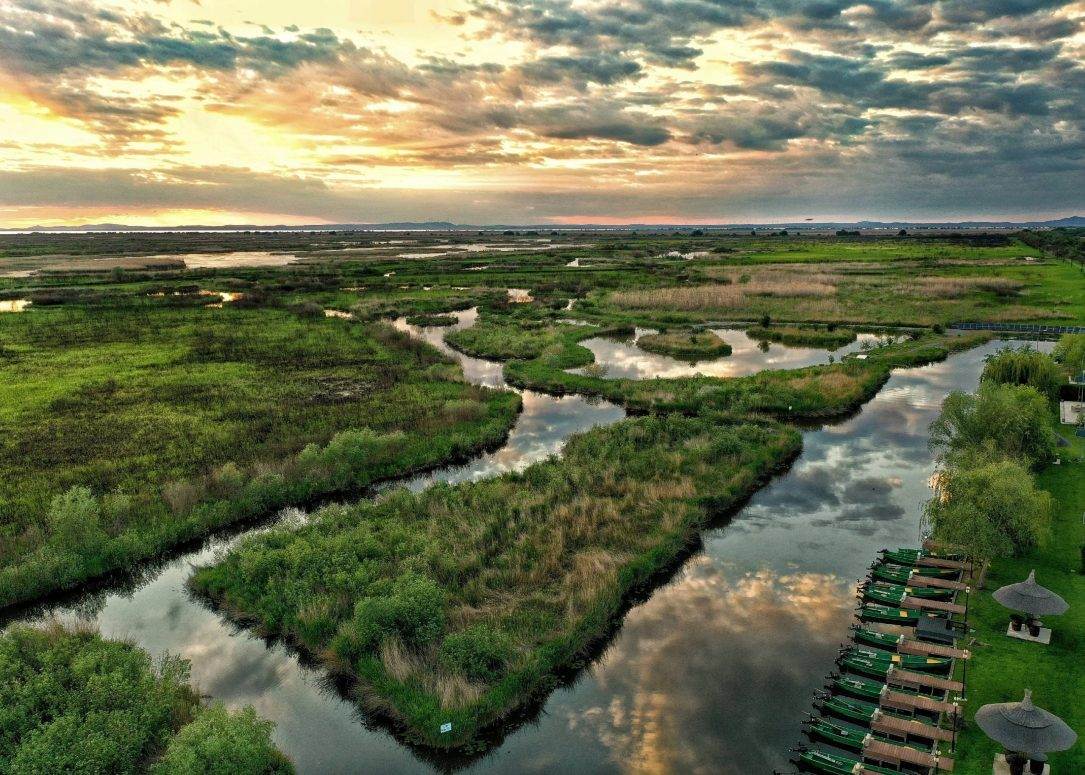 Vacanțe avantajoase în Delta Dunării sezoane și prețuri