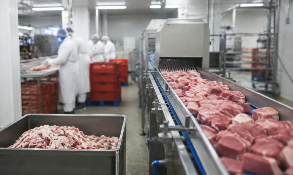 5 surse de risipă alimentară într-o unitate de producție